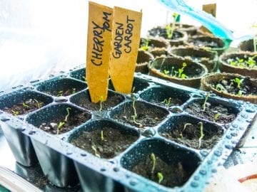 shutterstock_498605608