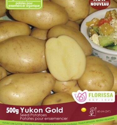 Seed Potato, Yukon Gold, Organic