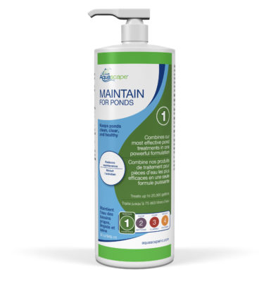 Maintain for Ponds, 236ml