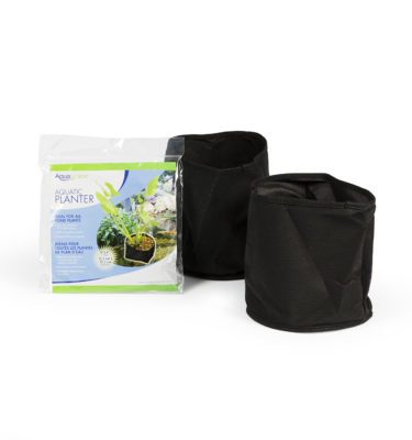 Planter, Aquatic, 6x6