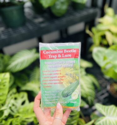 Japanese Beetle High Impact Lure