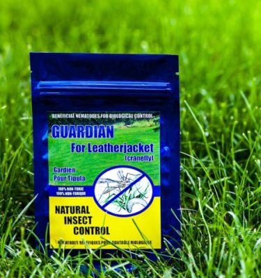 Nematodes (Leatherjacket)