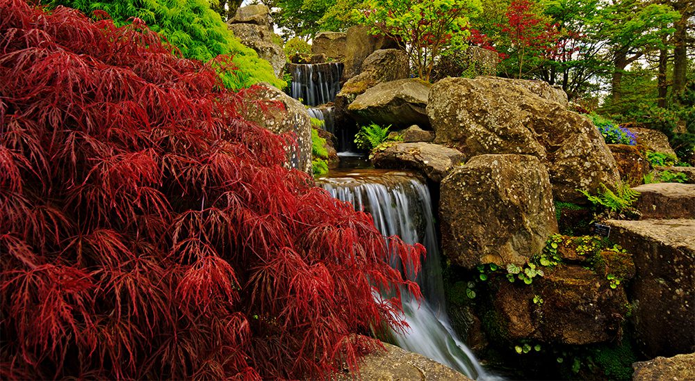 4 season fall colour royal city nursery guelph