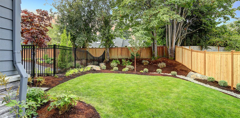 fall planting backyard planning royal city nursery guelph