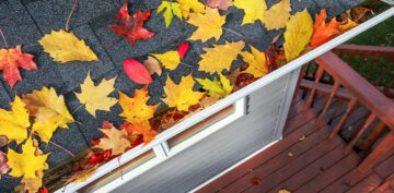 fall garden maintenance autumn leaves in gutter royal city nursery guelph
