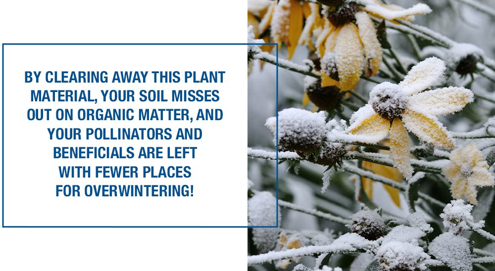 fall landscape care don't strip dead perennials quote