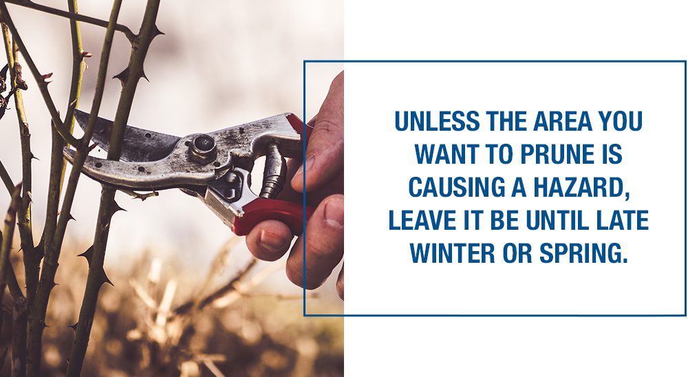 fall landscape care don't prune quote