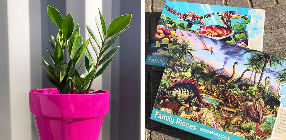 houseplants and puzzles