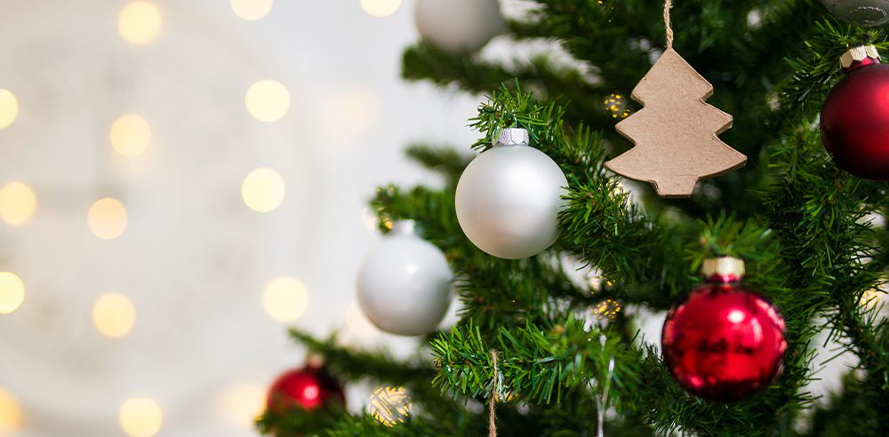 favourite holiday memories Royal city nursery guelph