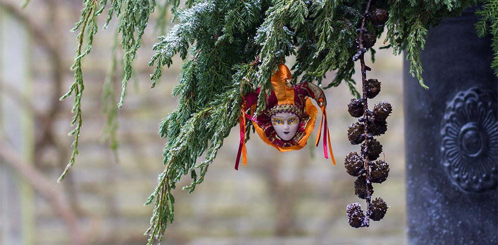 ornament on evergreen Royal city nursery guelph