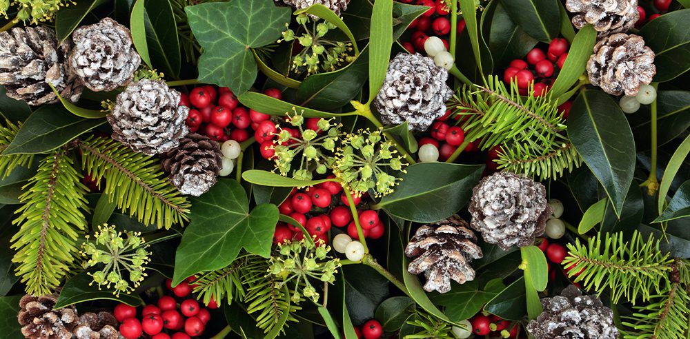 winter porch pot foliage Royal city nursery guelph