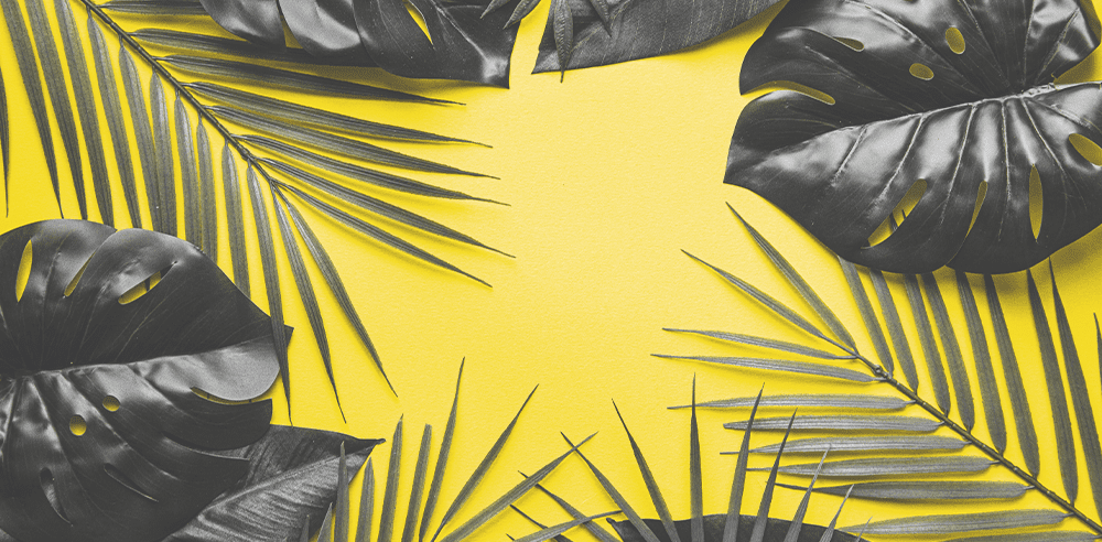 pantone colours of the year grey and yellow shades royal city nursery guelph