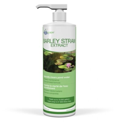 Barley Straw Extract, 473ml