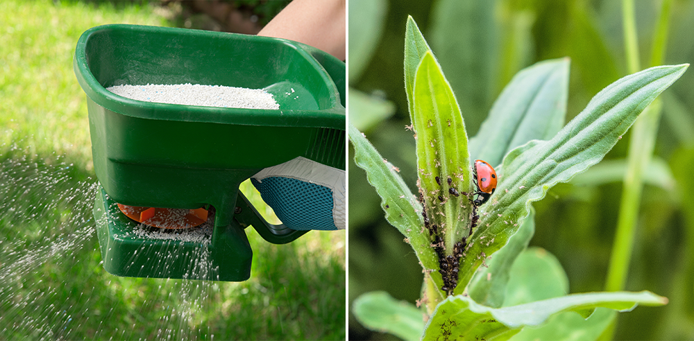 spring lawn care and pest management Royal city nursery