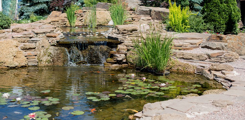 royal city nursery guelph spring pond maintenance tips