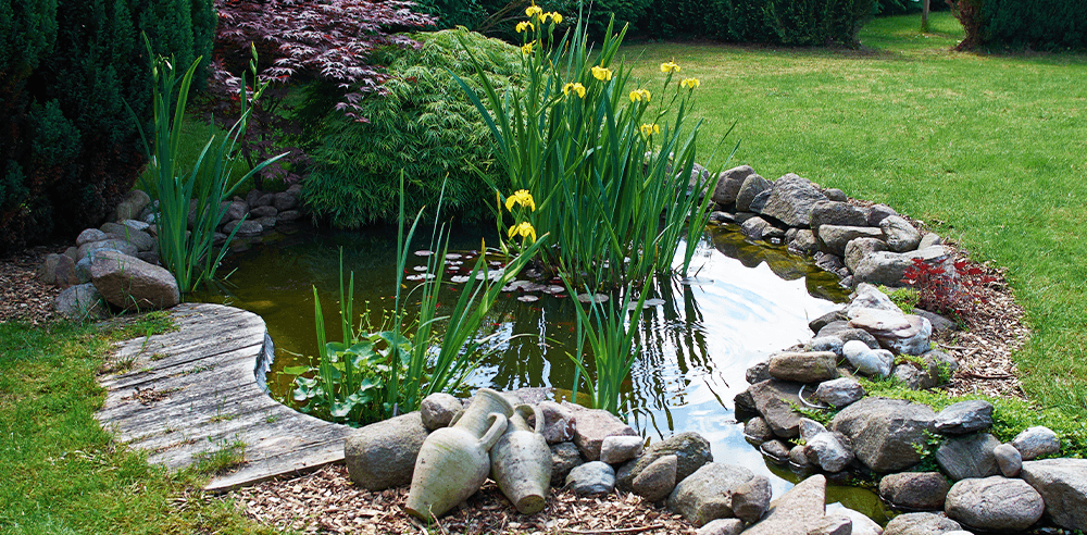 Royal city nursery backyard pond