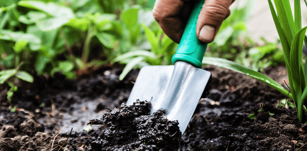 -garden trowel royal city nursery