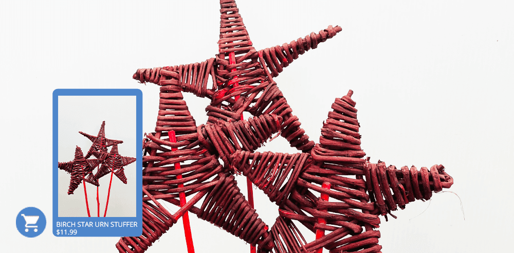 -birch star stuffer royal city nursery