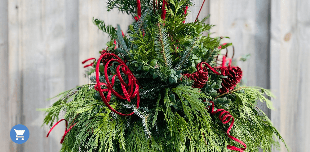 -urn stuffers and picks christmas royal city nursery