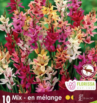 Ixia, Mixed Hybrid