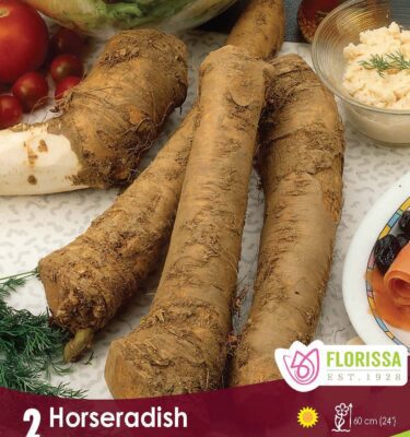 Horseradish