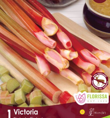 Rhubarb, Victoria