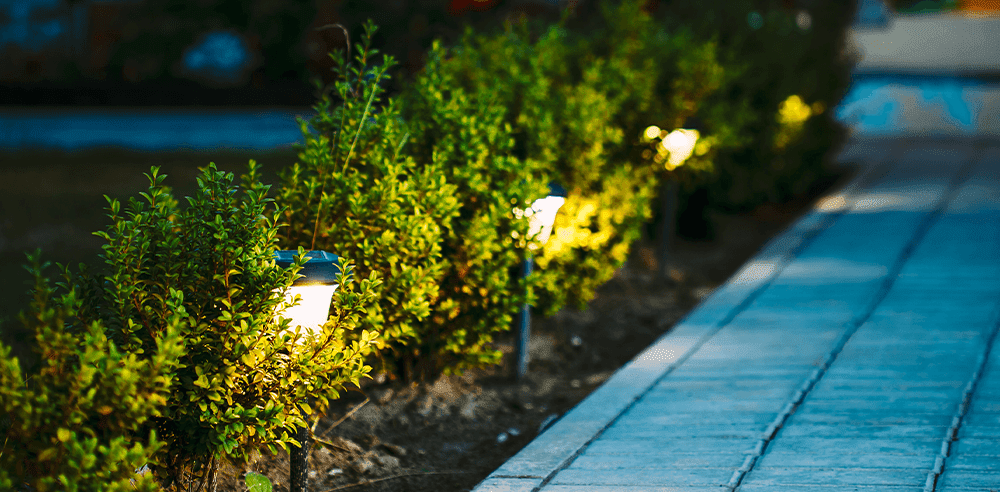 -garden lighting royal city nursery