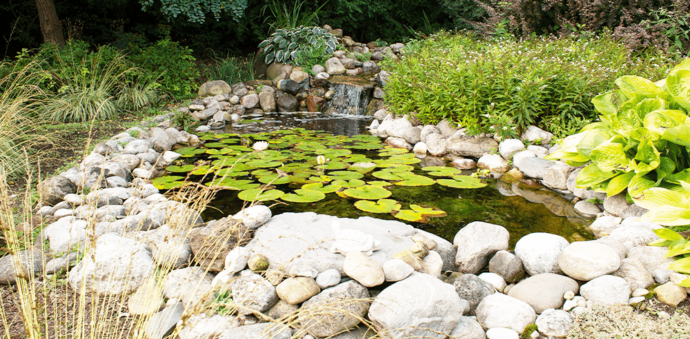 -Royal city nursery landscaping solutions- pond project in summer