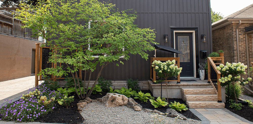--Royal city nursery landscaping solutions project in backyard