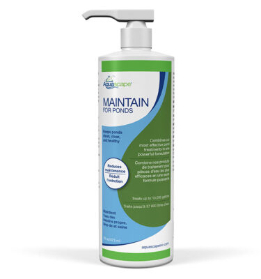Conditioner, Maintain, 473ml