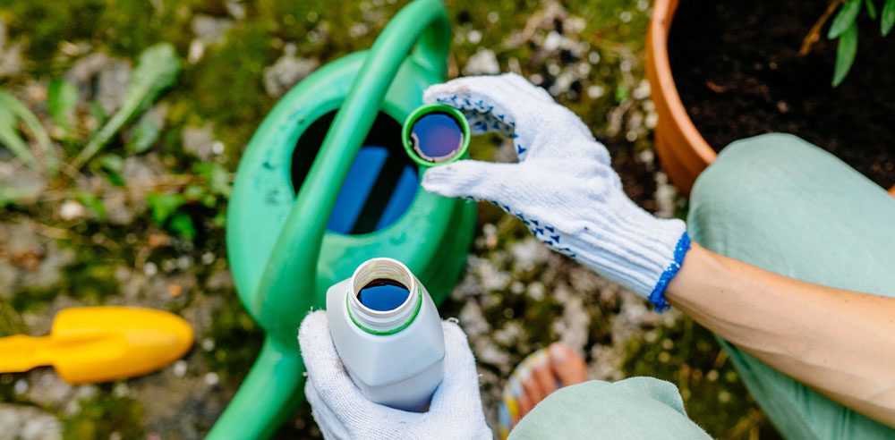 Royal City Nursery - Everything You Need to Know About Fertilizer-liquid plant fertilizer