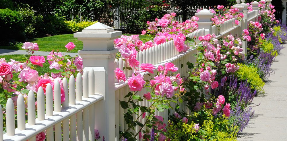 Royal City Nursery-Support Structures For Your Garden -fence for garden support