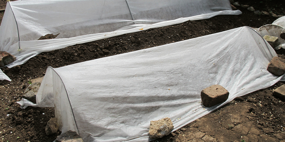 Royal-City-Nursery--Fall-Vegetable-Gardening-in-Guelph-covering-vegetable-crops-from-frost