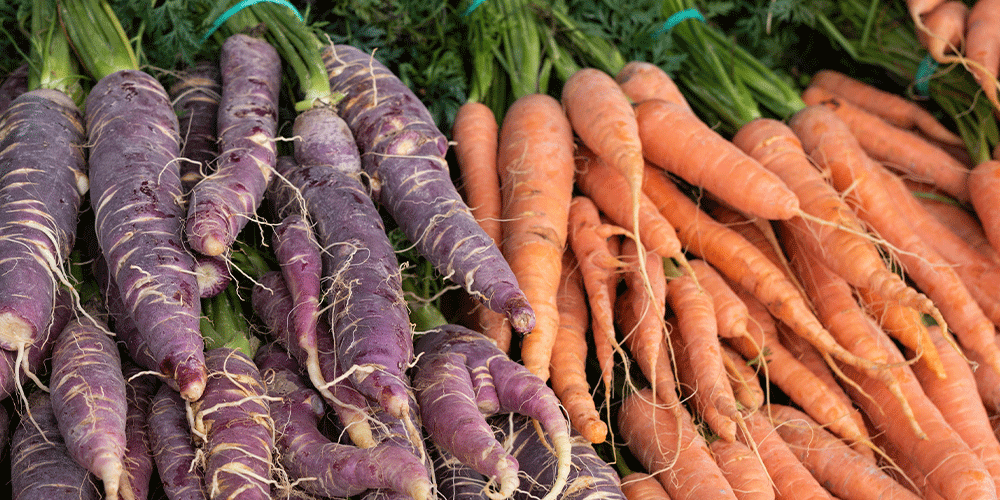 Royal-City-Nursery--Fall-Vegetable-Gardening-in-Guelph-purple-and-orange-carrots