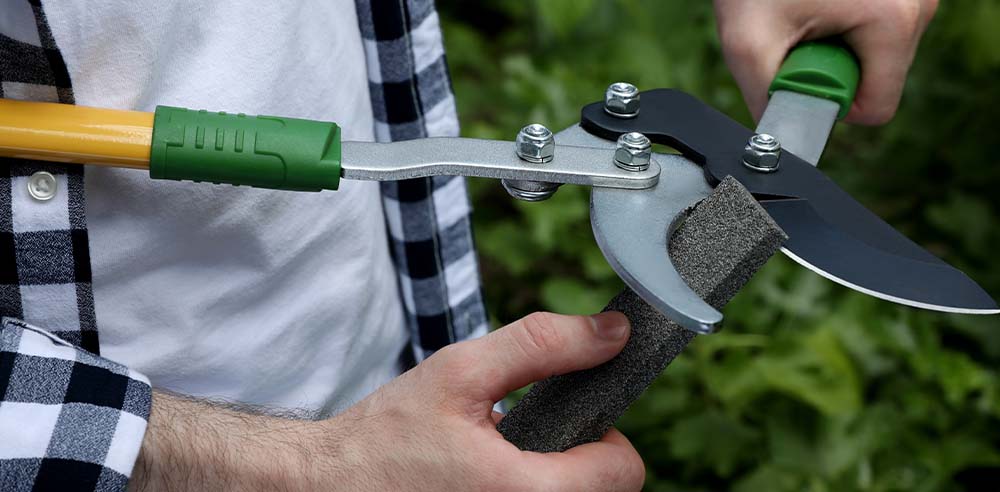 Royal City Nursery-Ontario-Fall Landscape Care Part 1-sharpening shears