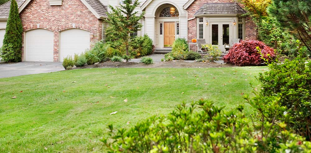 Royal City Nursery-Ontario-Fall Landscape Care Part 3 Lawn Care-front yard in autumn