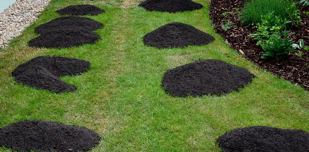 Royal City Nursery-Ontario-Fall Landscape Care Part 3 Lawn Care-spreading soil around lawn