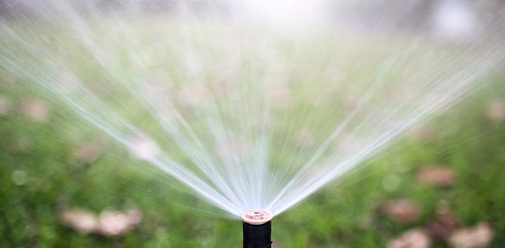 Royal City Nursery-Ontario-Fall Landscape Care Part 3 Lawn Care-sprinkler on lawn