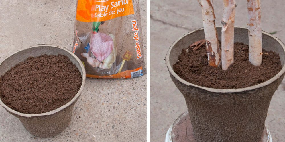 Royal City Nursery-Ontario-Designing Winter and Holiday Planters-filling urn with sand