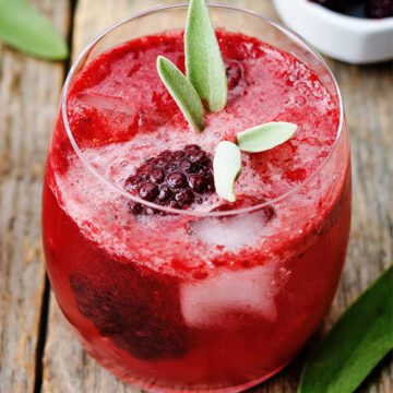 Royal City Nursery-Ontario-Drink Recipes for The Holidays-Blackberry and Sage Gin and Tonic
