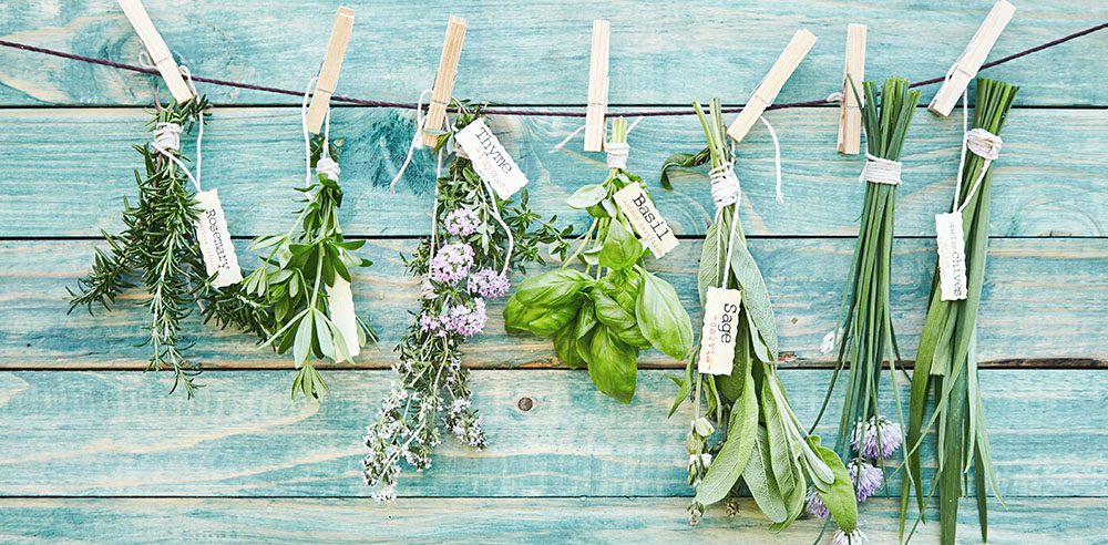 Royal City Nursery-Ontario-Drink Recipes for The Holidays-assorted herbs drying