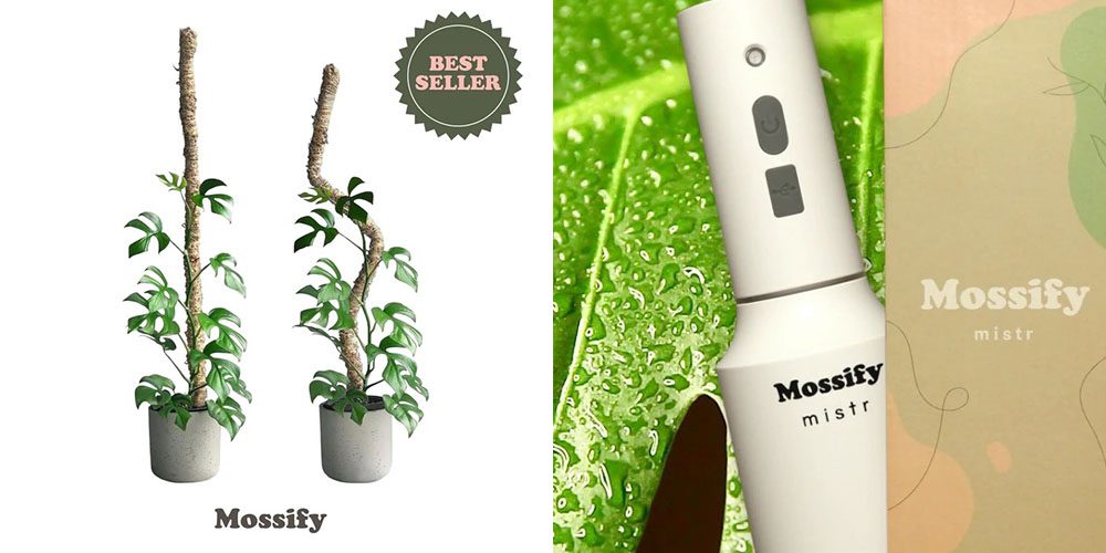 Royal City Nursery-Ontario-Gift Guide for 2022-houseplant accessories
