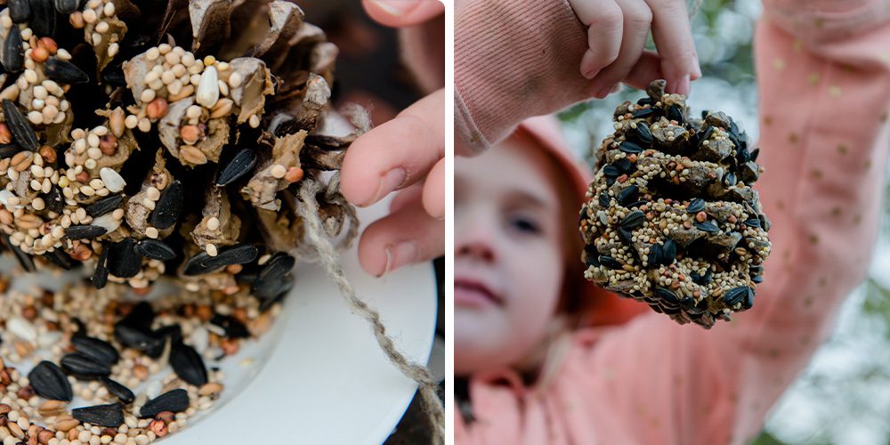 Royal City Nursery-Ontario-Natural Gift Wrap Ideas-bird seed