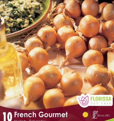 Shallots, Laval French Gourmet