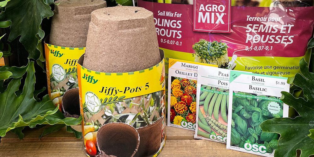 Royal City Nursery-Ontario-How to Get Your Kids Excited About Growing Food-seed starting kit