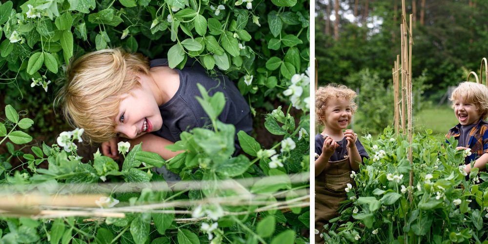 Royal City Nursery-Guelph Ontario-Creating a Kid-Friendly Backyard-kids hiding in garden