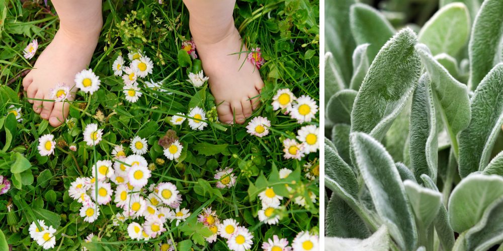 Royal City Nursery-Guelph Ontario-Creating a Kid-Friendly Backyard-sensory garden elements