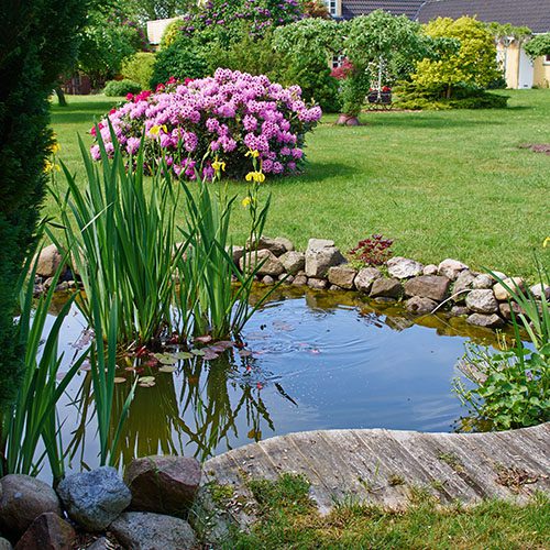 Royal City Nursery-Guelph-Ontario-Why You Need a Pond-garden pond