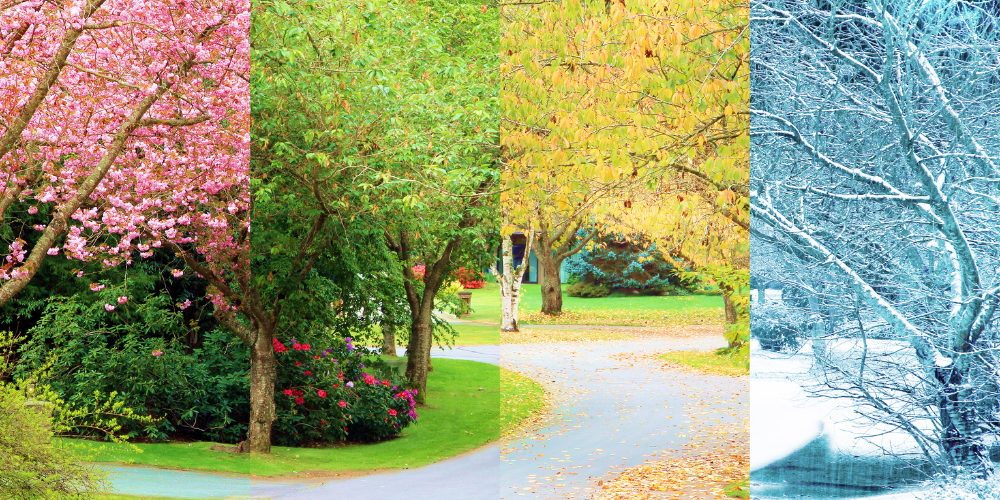 Royal City Nursery-Guelph-Ontario-Designing a Four Seasons Landscape-4 seasons of change