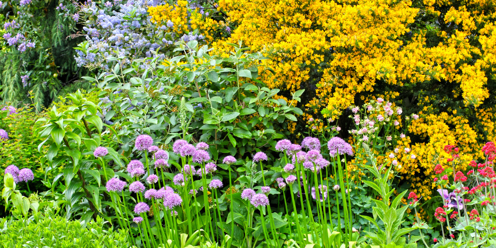 Royal City Nursery-Guelph-Ontario-Designing a Four Seasons Landscape-colourful garden